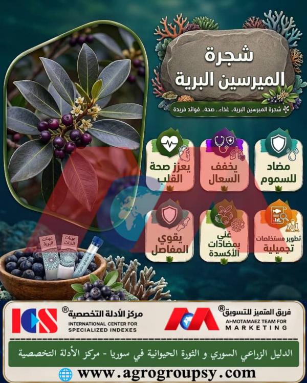 شجرة الميرسين البرية: الفوائد الصحية المتكاملة، التطبيقات العلاجية والتجميلية، ودورها في تعزيز الصحة العامة