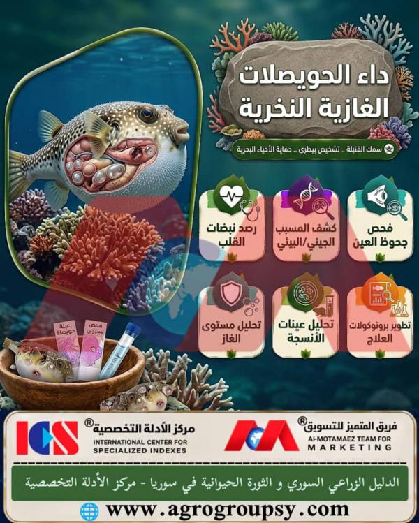 Necrotic Gas Vesicle Disease in Pufferfish: Causes, Advanced Diagnosis, and Marine Care Protocols