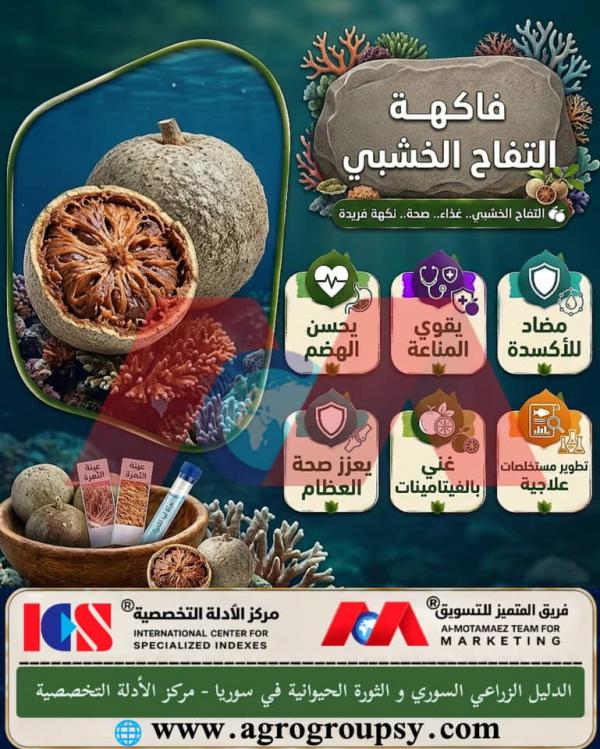 فاكهة التفاح الخشبي: الفوائد الغذائية والصحية المتكاملة، التطبيقات العلاجية الواعدة، ودورها في تعزيز الأمن الغذائي