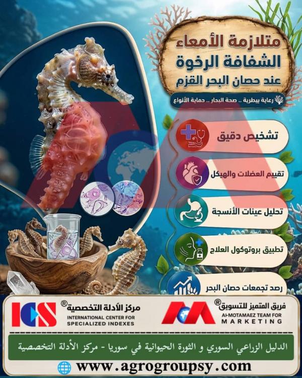 Soft Transparent Gut Syndrome in Dwarf Seahorses: Causes, Diagnosis, and Advanced Veterinary Care Methods