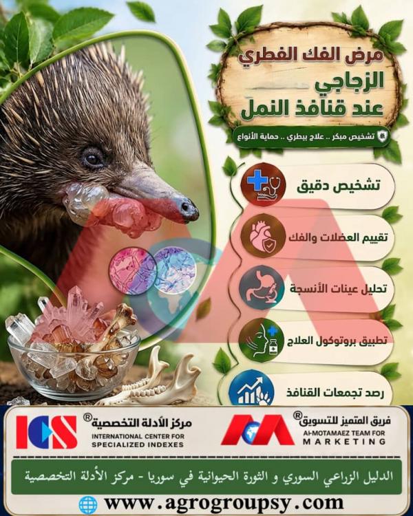 Glassy Fungal Jaw Disease in Anteaters: Causes, Diagnosis, and Modern Veterinary Care Methods