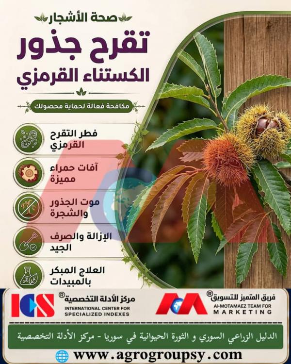 Scarlet Chestnut Root Canker: Causes of Infection, Control Methods, and Agricultural Prevention Measures