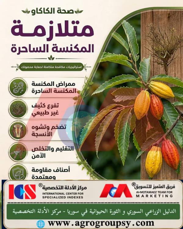 Witches' Broom Syndrome in Cacao Trees: Causes, Control Methods, and Agricultural Prevention Measures
