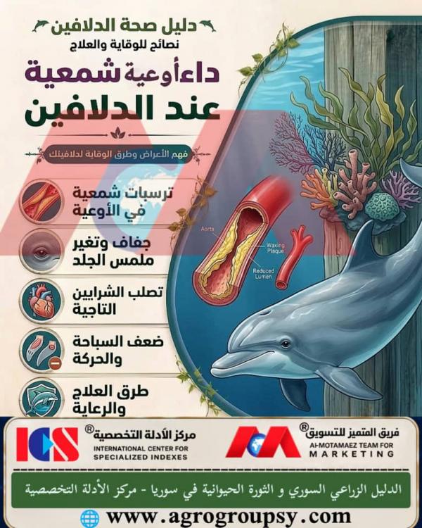 Waxy Vessel Disease in Dolphins: Scientific Understanding, Pathological Mechanisms, and Therapeutic Prevention Methods