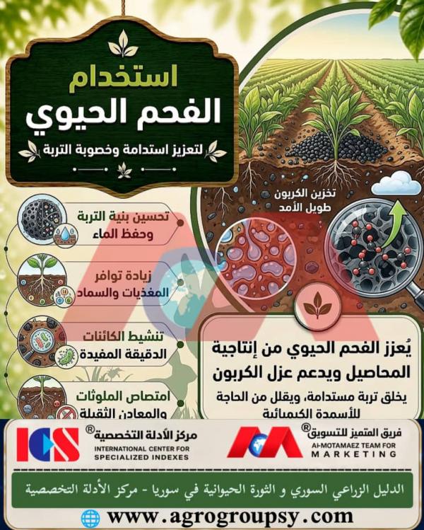 Using Biochar to Enhance Soil Sustainability and Fertility: Scientific Mechanisms, Environmental Benefits, and Sustainable Agriculture Applications