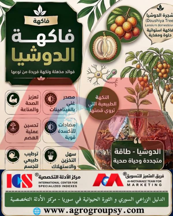 Doushia Fruit Tree (Lansium domesticum): A Nutritious Tropical Treasure Enhancing Health and Vitality in a Unique Way