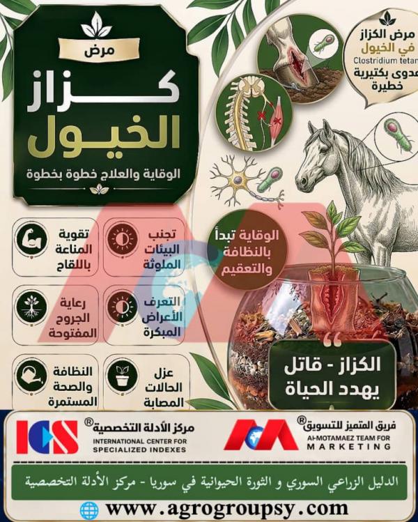 Equine Tetanus: Step-by-Step Prevention and Treatment to Protect Livestock