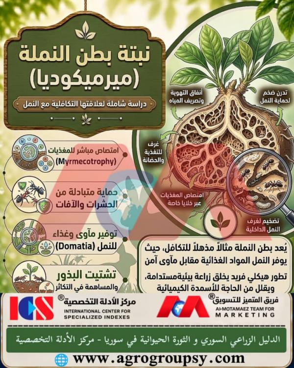 نبتة بطن النملة (ميرميكوديا): دراسة شاملة لعلاقتها التكافلية مع النمل، آليات التغذية، والاستدامة البيئية
