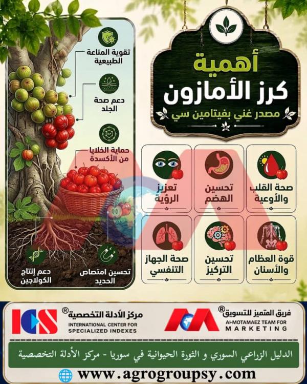 Amazon Cherry: A Rich Source of Vitamin C, Exceptional Nutritional Value, and Comprehensive Health Benefits