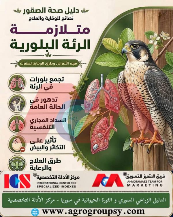 Crystalline Lung Syndrome in Falcons: Understanding Symptoms, Pathological Mechanisms, and Veterinary Prevention and Treatment Methods