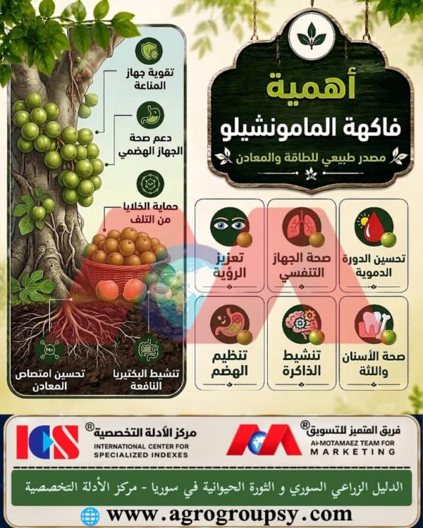 Mamoncillo Fruit (Melicoccus Genus): A Natural Source of Energy and Minerals, Comprehensive Health Benefits, and Sustainable Agricultural Value