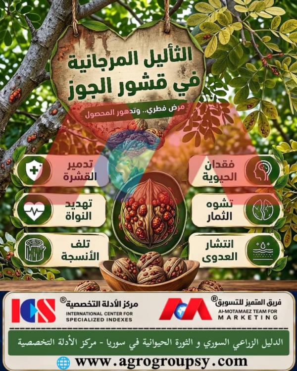 هل يُعد مرض الثآليل المرجانية في قشور الجوز من أخطر الآفات الفطرية التي تهدد الإنتاج الزراعي وتدهور جودة المحصول؟