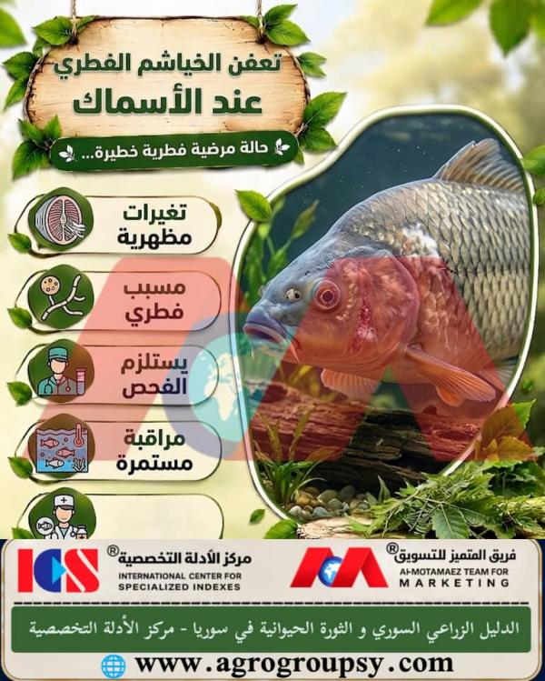 Is Fungal Gill Rot in Fish a Dangerous Pathological Condition Threatening Aquatic Production Risks?