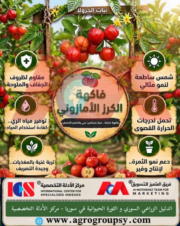 Does the Amazonian Cherry (Haroula Plant) Hold a Prominent Position Among Tropical Plants Due to Its Exceptional Nutritional and Therapeutic Values?