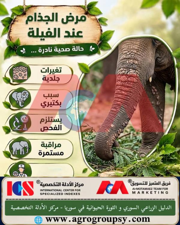 Is Elephant Leprosy a Rare Health Condition and Complex Veterinary Challenge?