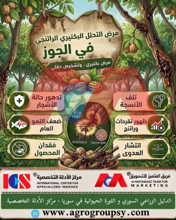 Is Bacterial Resin Decomposition Disease in Walnuts a Serious Disease Requiring Precise Field Diagnosis?