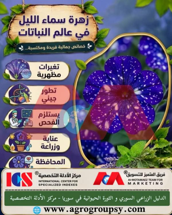 Is the Night Sky Petunia One of the Most Prominent Visual Marvels in the Plant World Due to Its Unique Coloring?
