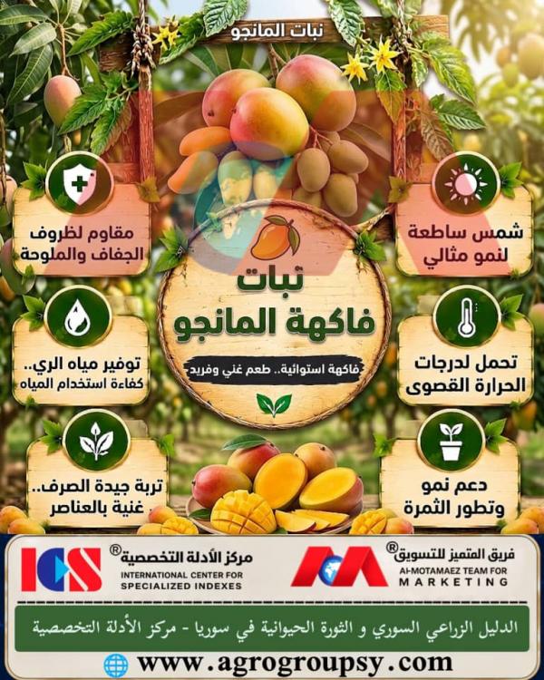 Does the Mango Fruit (Queen of Fruits) Hold a Prominent Position Among Tropical Fruit Trees Due to Its High Value?
