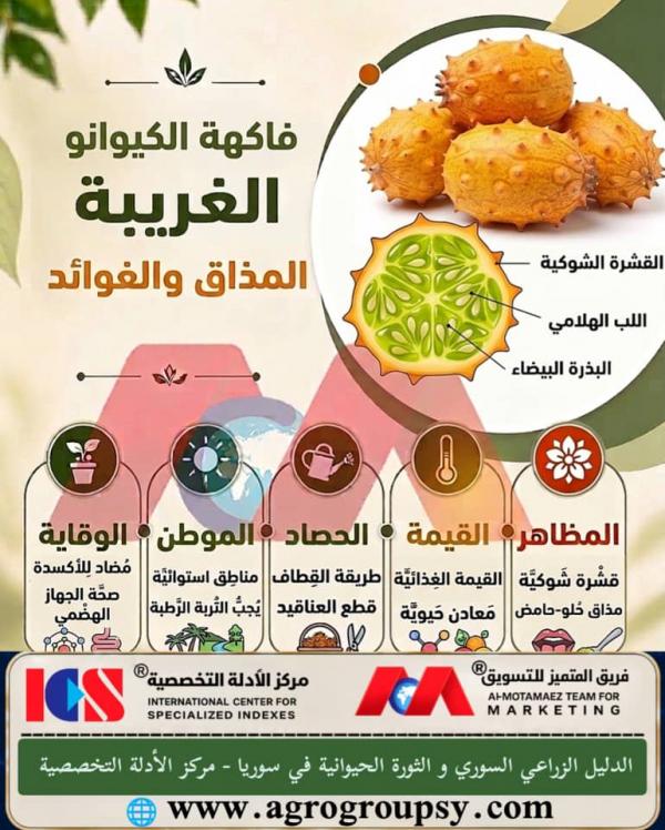 هل تحتل فاكهة الكيوانو (البطيخ الأفريقي المقرن) مكانة بارزة بين أغرب الفواكه الاستوائية بفضل شكلها الخارجي الفريد وخصائصها الغذائية المتكاملة؟