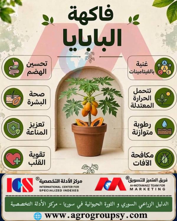 هل تحتل فاكهة البابايا مكانة بارزة بين الفواكه الاستوائية بفضل قيمتها الغذائية العالية وفوائدها الصحية المتعددة للجهاز الهضمي والمناعة؟