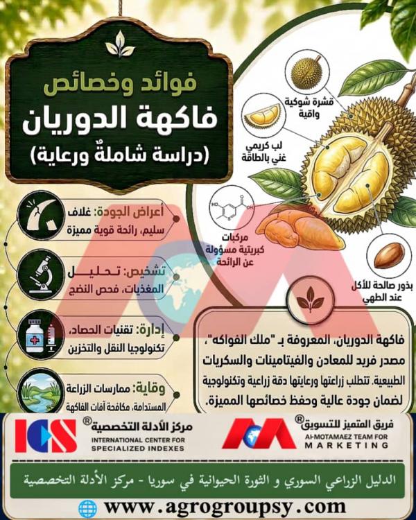 هل تحتل فاكهة الدوريان (ملك الفواكه) مكانة بارزة بين الثمار الاستوائية بفضل قشرتها الشوكية، ولبها الكريمي الغني بالطاقة، وخصائصها الفريدة؟