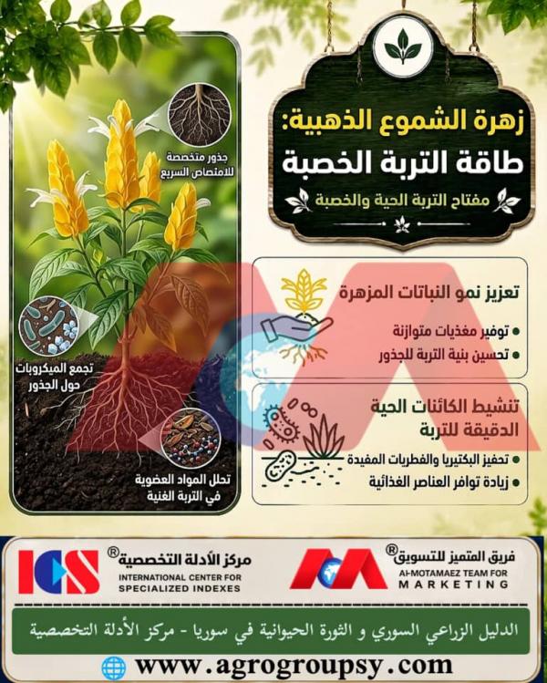 هل تحتل زهرة زنبق الشعلة (Kniphofia) مكانة مرموقة بين نباتات الزينة العشبية بفضل شكلها الفريد الذي يشبه الشعلة الملتهبة وقدرتها العالية على تحمل الجفاف؟
