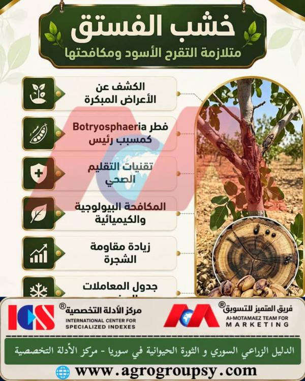 Pistachio Wood: Black Canker Syndrome and Its Control