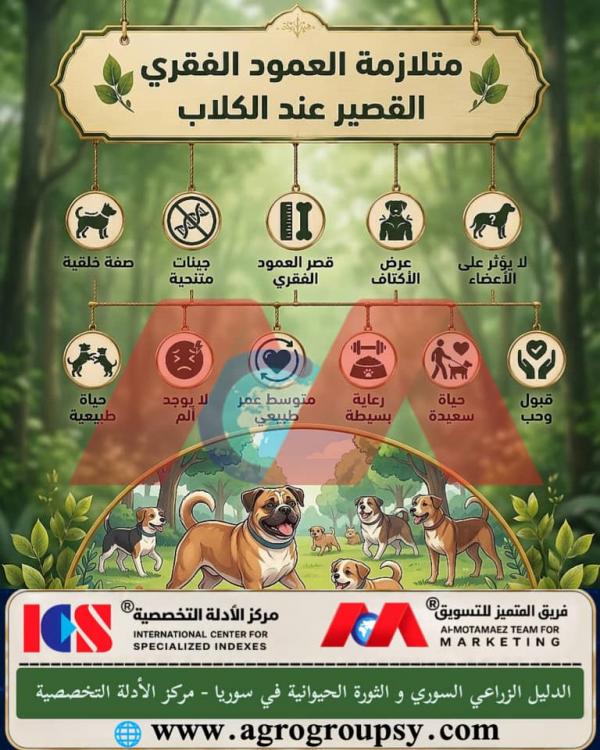 Short Spine Syndrome in Dogs: Causes, Impacts, and Care Guide