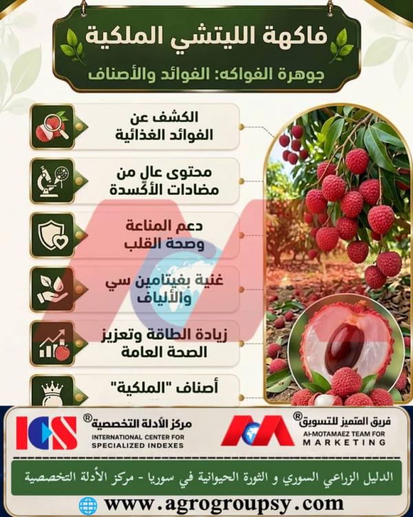 هل تُعد فاكهة الليتشي (Litchi chinensis) من الفواكه الاستوائية المثيرة للإعجاب بمذاقها الذي يشبه الورد والعنب وقيمتها الغذائية العالية؟