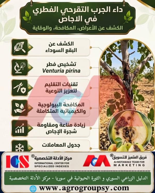 Fungal Canker Scab Disease in Pears: Symptoms, Control, and Prevention