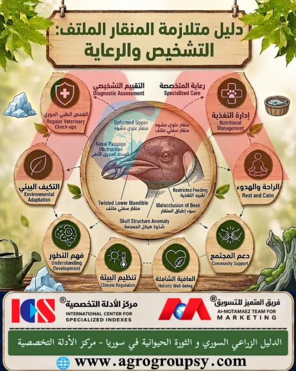 Bent Beak Syndrome: Diagnosis and Care Guide