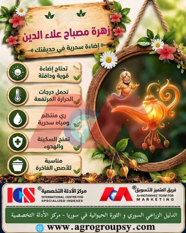 هل تُعد 