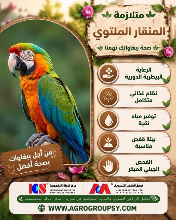 Crooked Beak Syndrome: Parrot Health Matters