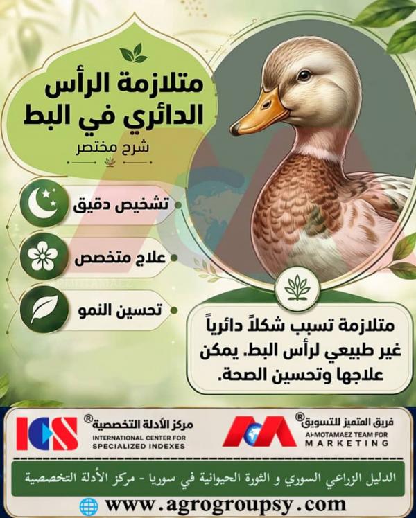 Round Head Syndrome in Ducks: Diagnosis and Treatment