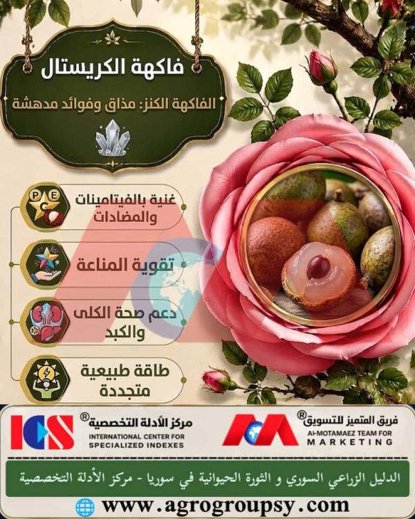هل تُعد 
