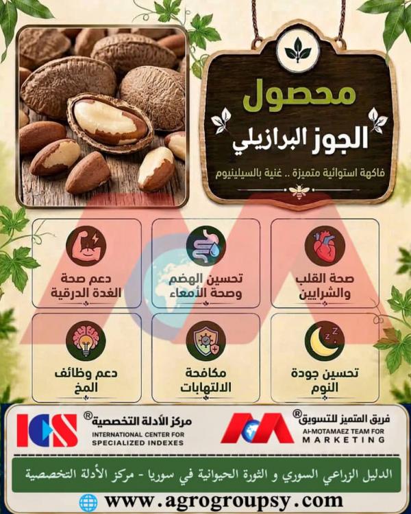 هل يُعتبر الجوز البرازيلي من أغنى المصادر الطبيعية الفريدة بعنصر السيلينيوم والمغذيّات الضرورية التي تمنحه مكانة خاصة بين الثمار الاستوائية والمكسرات؟
