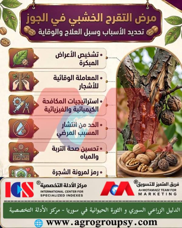 Woody Canker Disease in Walnuts: Identifying Causes, Treatment, and Prevention Methods