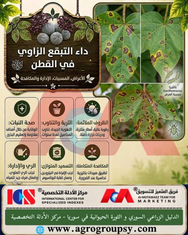 Angular Leaf Spot Disease in Cotton: Symptoms, Causes, Management, and Control