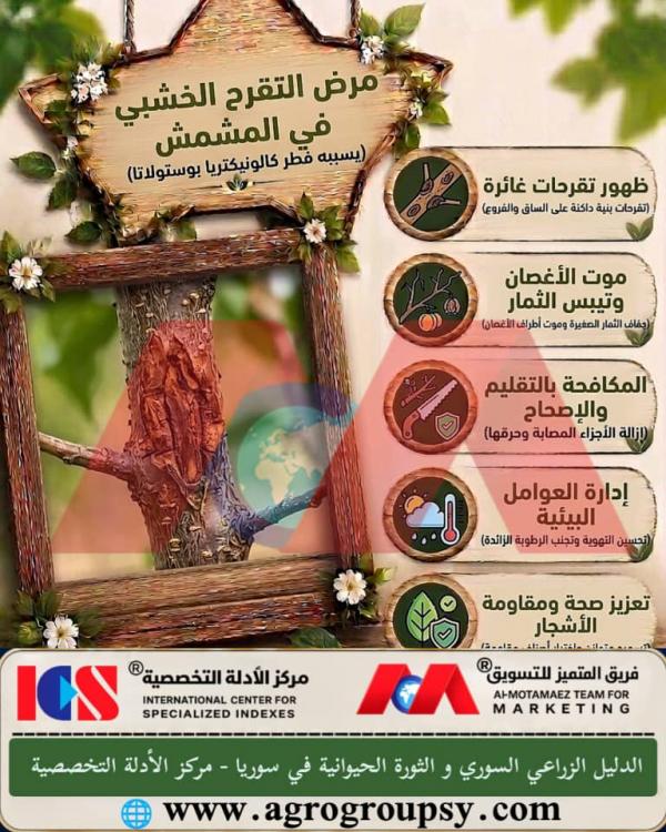 Woody Canker Disease in Apricots: Symptoms, Causes, Preventive Solutions, and Effective Control