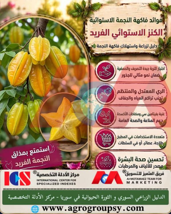 هل تحتل فاكهة النجمة مكانة متقدمة ضمن خيارات التغذية الصحية بفضل شكلها الهندسي الفريد ونكهتها المنعشة وغناها بالعناصر الغذائية الحيوية؟