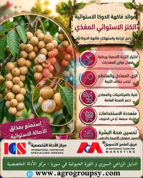هل تعد فاكهة الدوكا من أبرز الفواكه الاستوائية الغنية بالعناصر الغذائية الفريدة التي تساهم في تعزيز الصحة العامة ودعم الوظائف الحيوية في الجسم؟