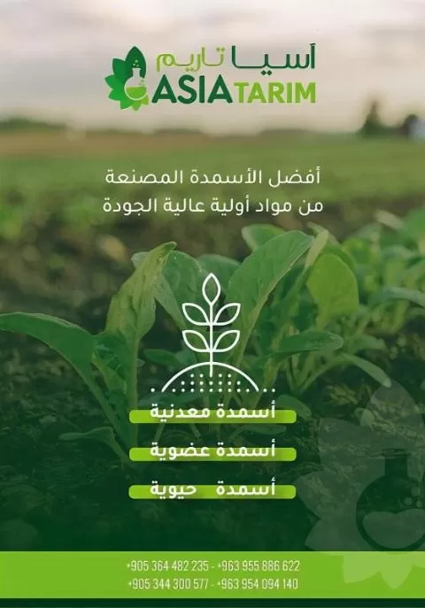 ASIA COUNTRY