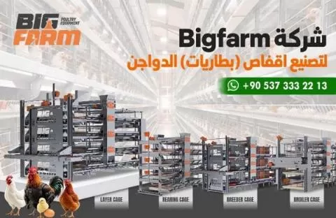 Big Farm Company for Manufacturing Poultry Farm Equipment and Facilities